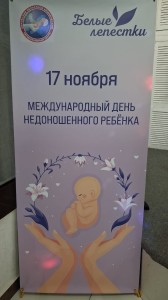 photo_4_2025-11-17_10-40-17